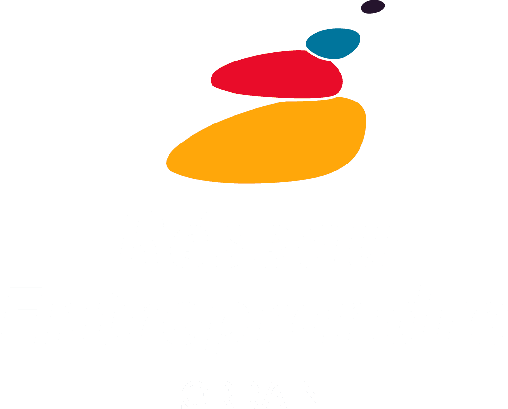 logo Réseau Entreprendre Lorraine
